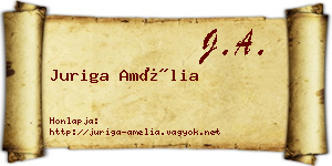 Juriga Amélia névjegykártya